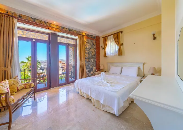 Aychin 别墅 费特希耶